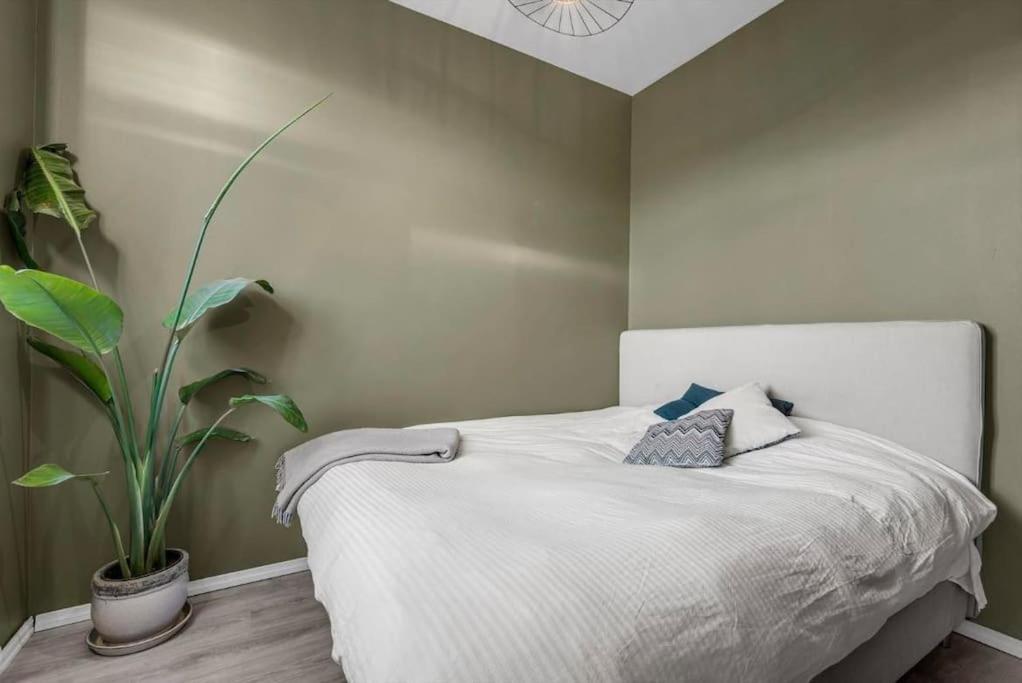 Newly Renovated - Oslo Downtown Apartment Exterior photo